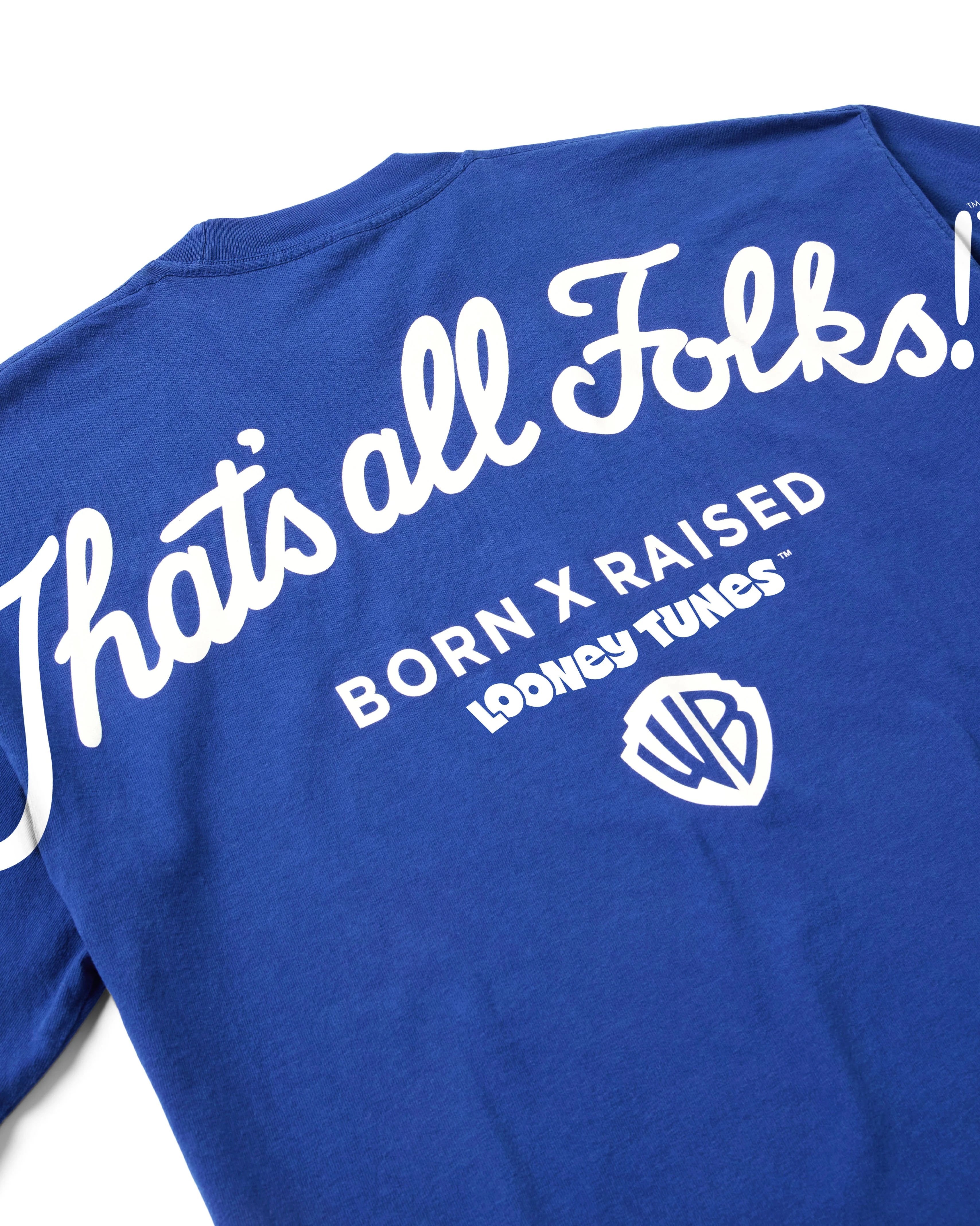 BORN X RAISED + LOONEY TUNES HOMETEAM TEE: ROYAL BLUE - Image 3